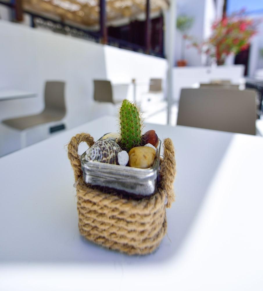 קוקארי Kalidon Beach Hotel מראה חיצוני תמונה